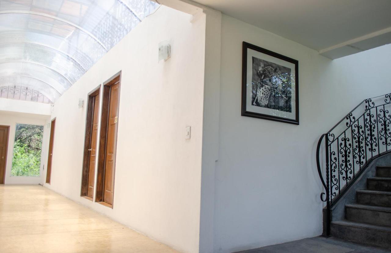 Hotel Rio أتليكسكو المظهر الخارجي الصورة